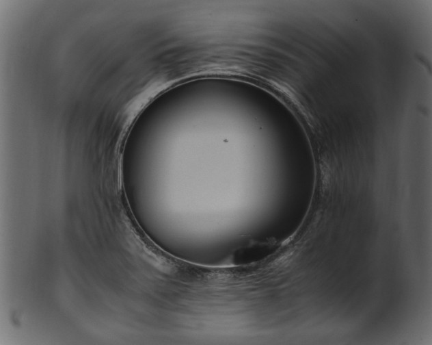 X0000102031371200807181339