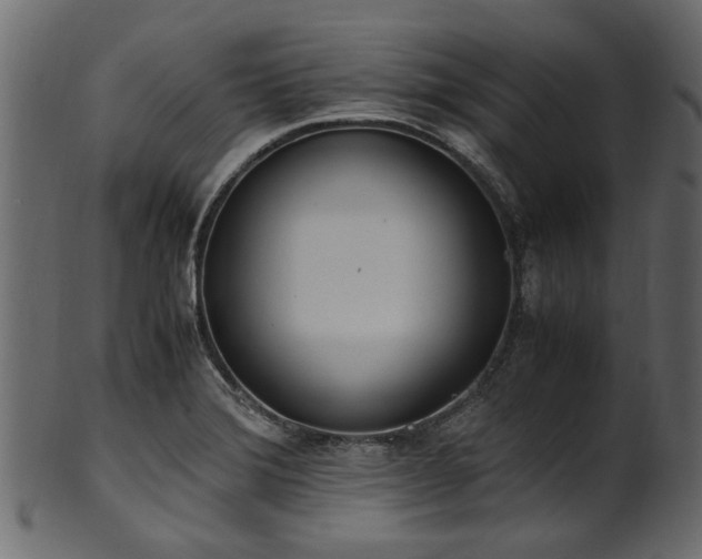 X0000102031372200807181339