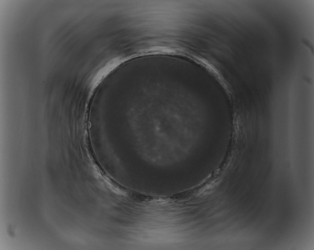 X0000102031373200807181339