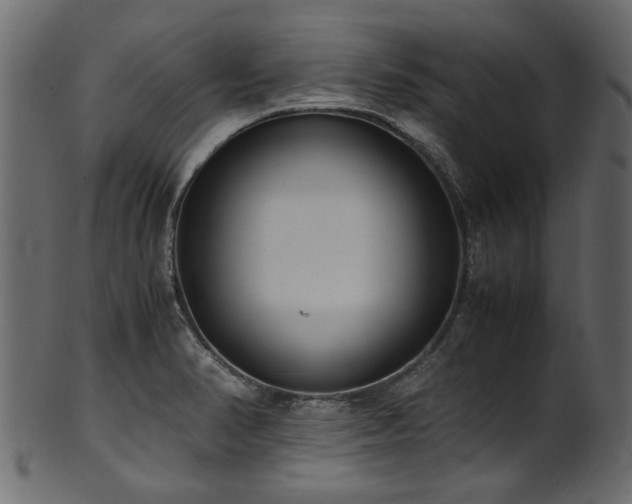 X0000102031374200807181339