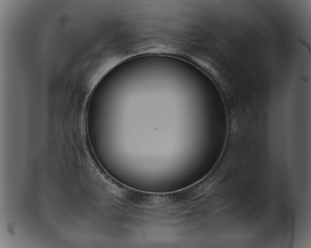 X0000102031375200807181339