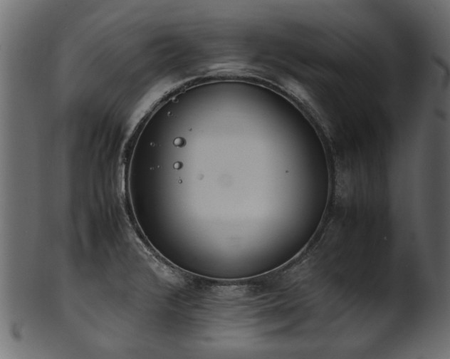 X0000102031376200807181339