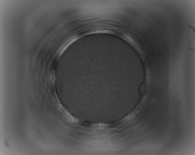 X0000102031377200807181339