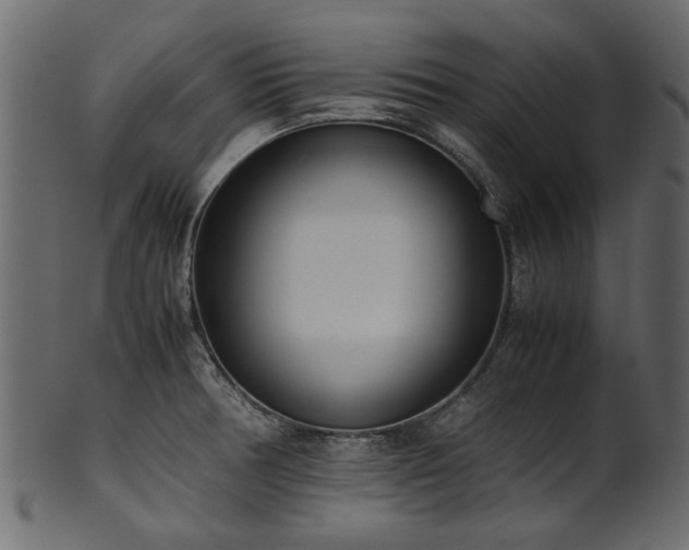 X0000102031378200807181339