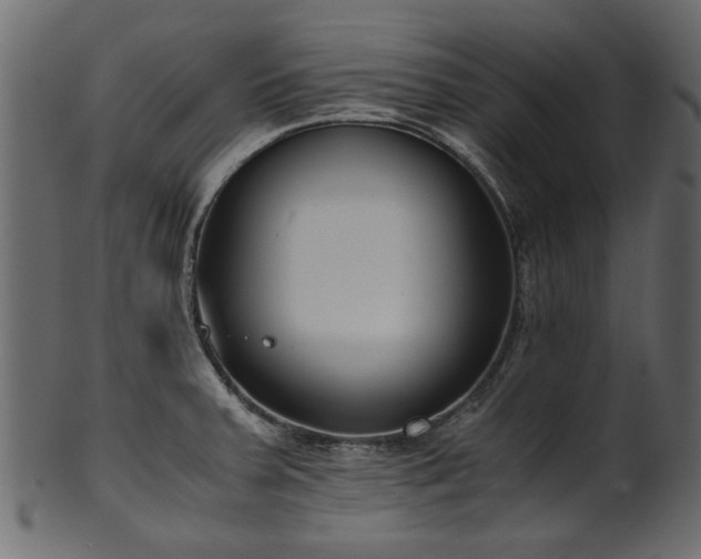 X0000102031379200807181339