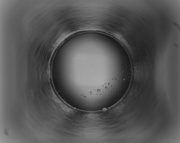 X0000102031380200807181339