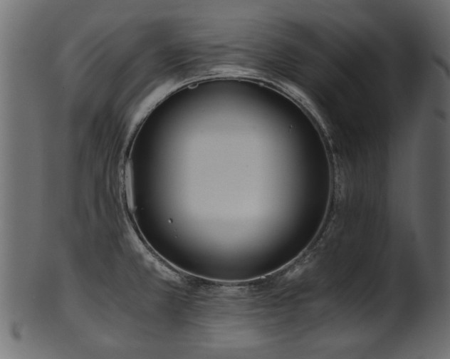 X0000102031381200807181339