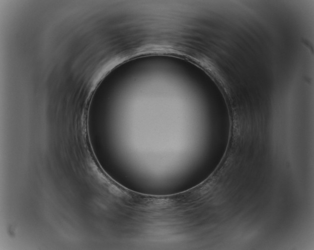 X0000102031382200807181339