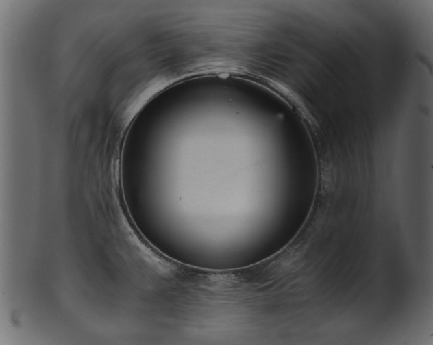 X0000102031383200807181339