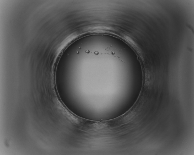 X0000102031384200807181339