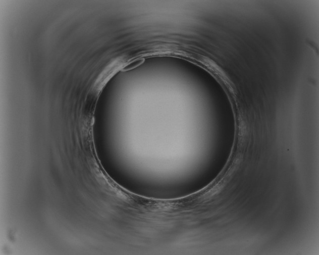 X0000102031385200807181339