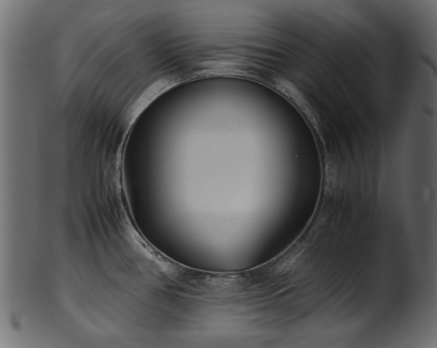 X0000102031386200807181339