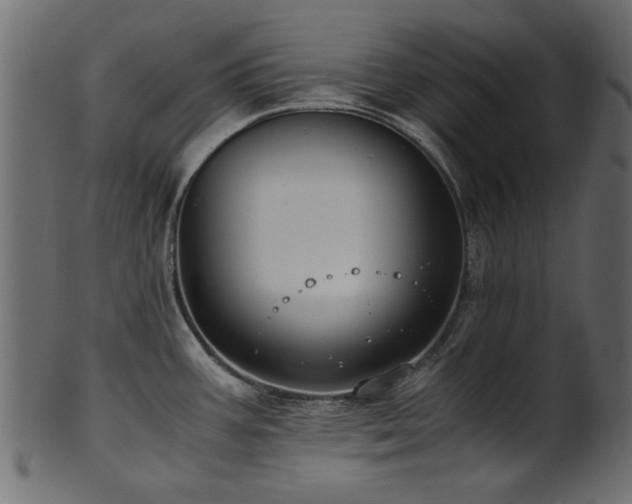 X0000102031387200807181339