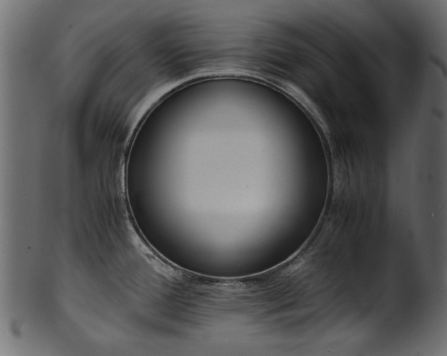 X0000102031388200807181339