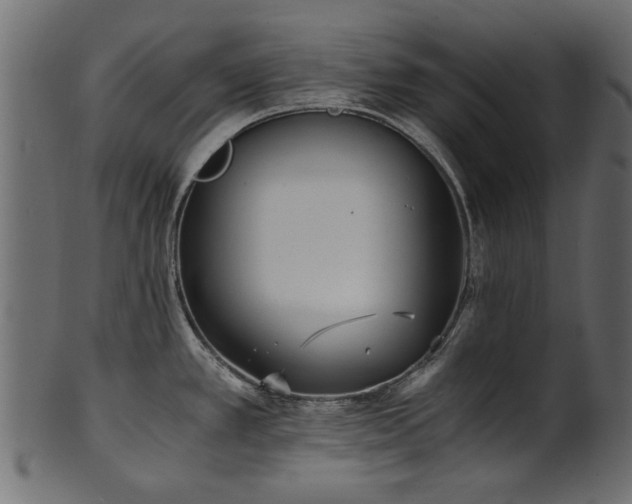 X0000102031389200807181339