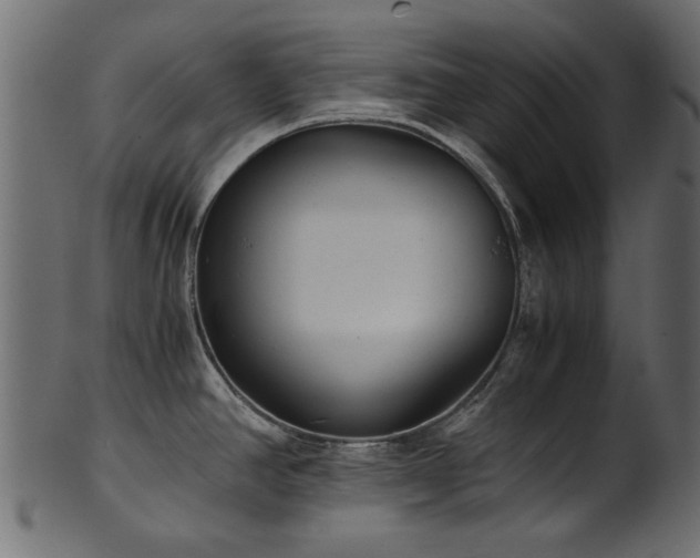 X0000102031390200807181339