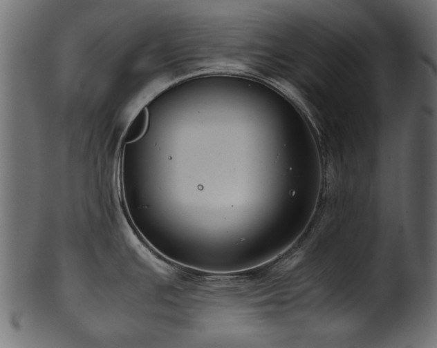 X0000102031391200807181339