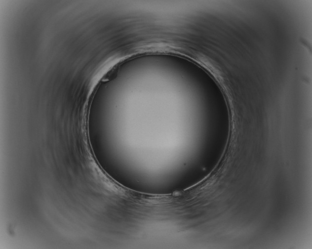 X0000102031392200807181339