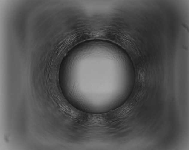 X0000102031393200807181339