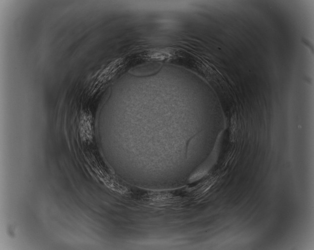 X0000102031394200807181339