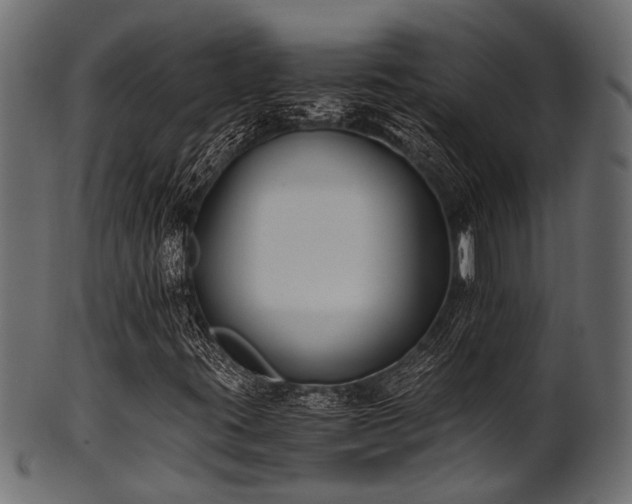 X0000102031395200807181339