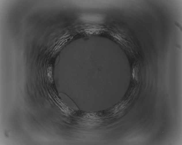 X0000102031396200807181339