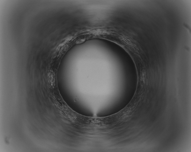 X0000102031398200807181339