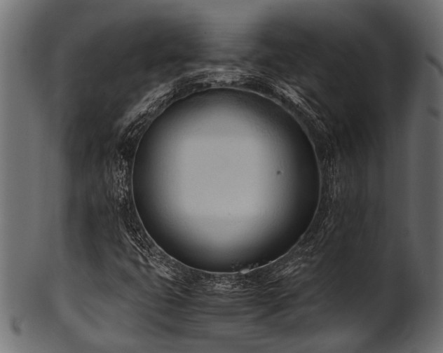 X0000102031399200807181339