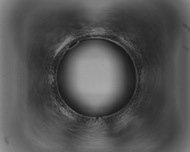 X0000102031400200807181339