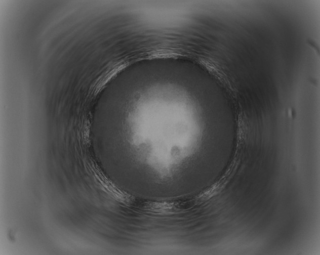 X0000102031401200807181339