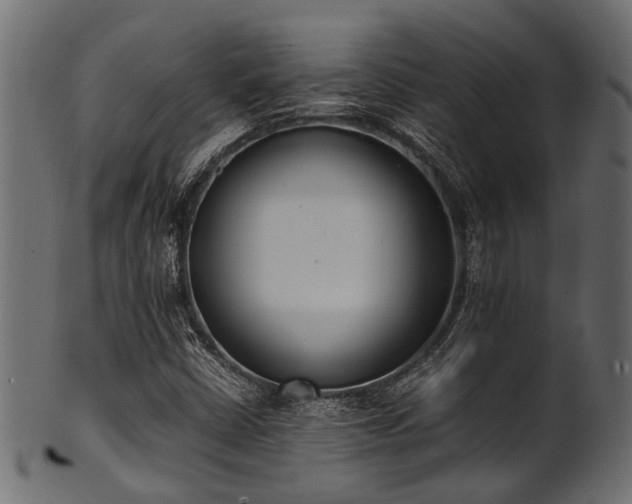 X0000102031402200807181339