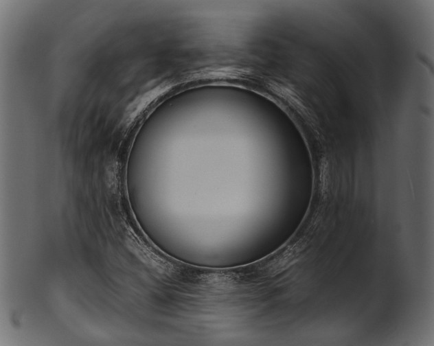 X0000102031404200807181339