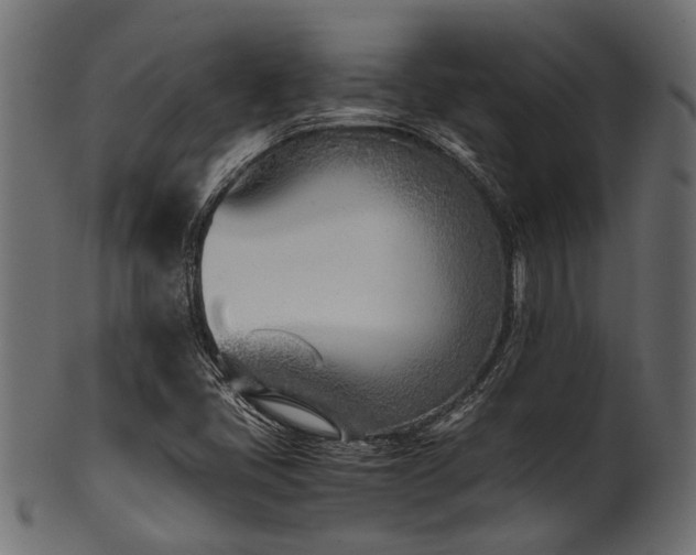 X0000102031405200807181339