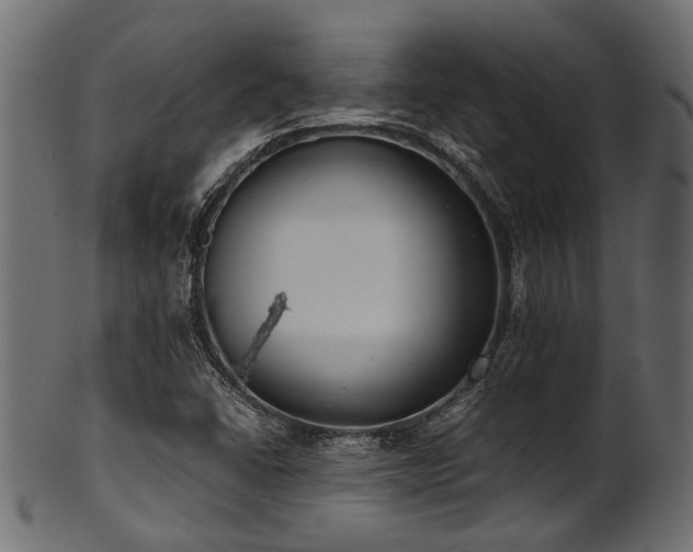 X0000102031406200807181339