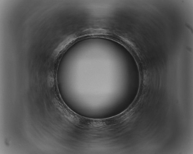 X0000102031407200807181339