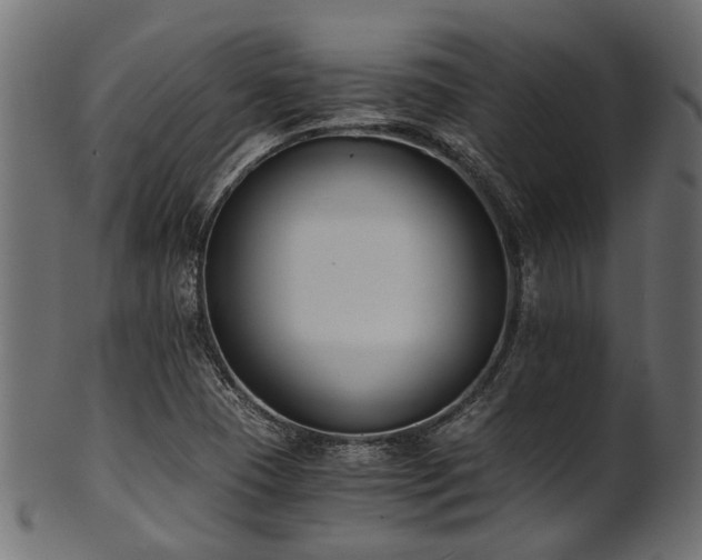 X0000102031409200807181339