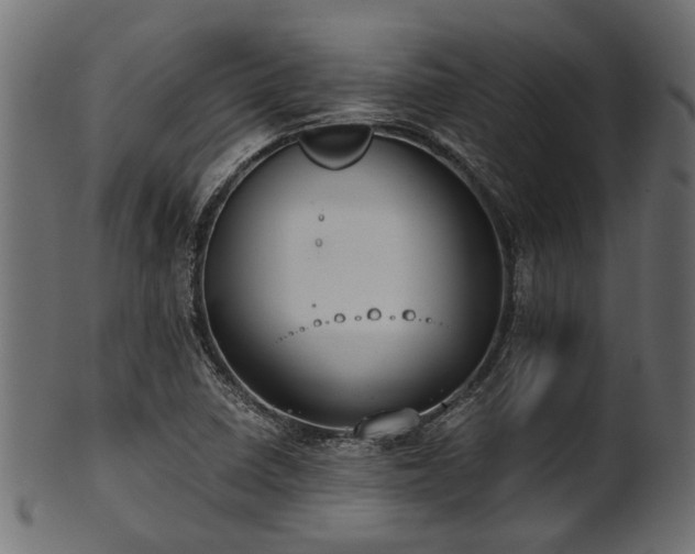 X0000102031410200807181339