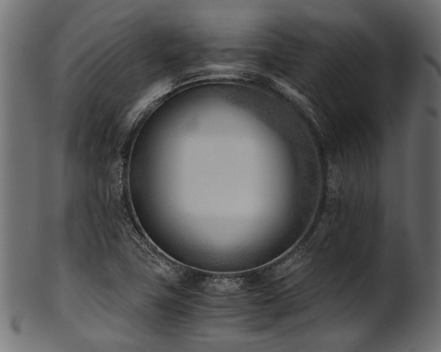 X0000102031411200807181339