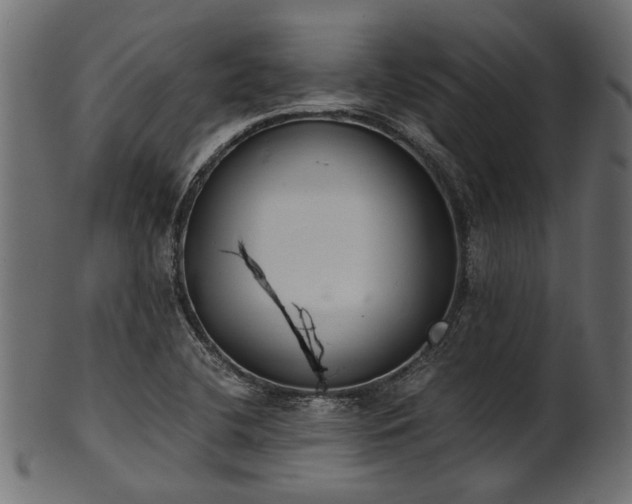 X0000102031412200807181339