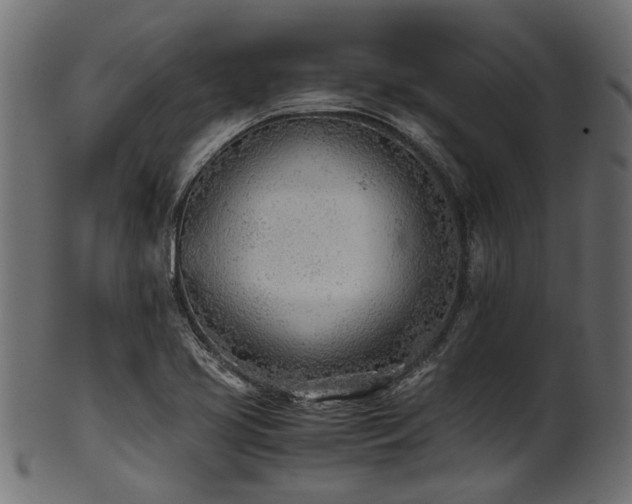 X0000102031413200807181339