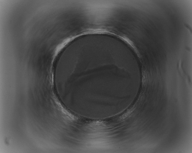 X0000102031414200807181339