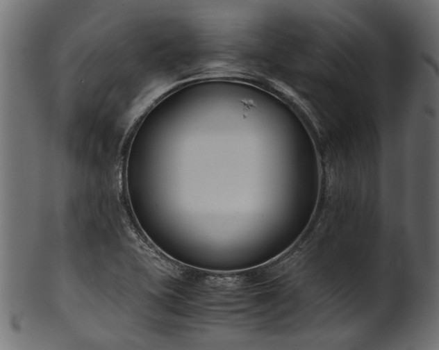 X0000102031415200807181339