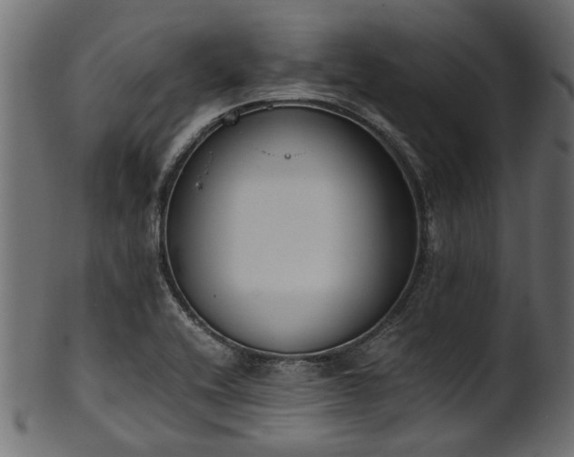 X0000102031416200807181339