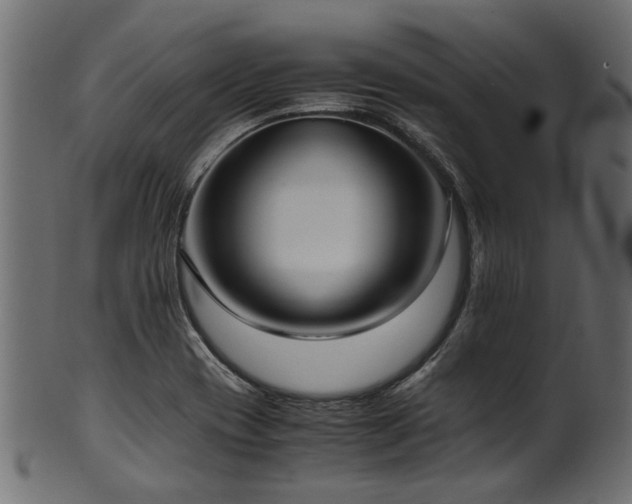 X0000102031417200807181339