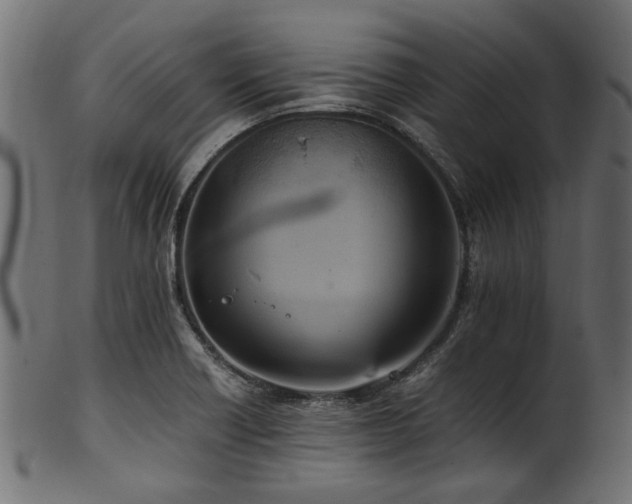 X0000102031418200807181339