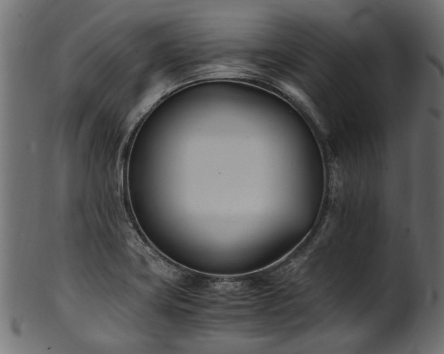 X0000102031419200807181339