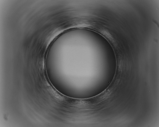 X0000102031420200807181339