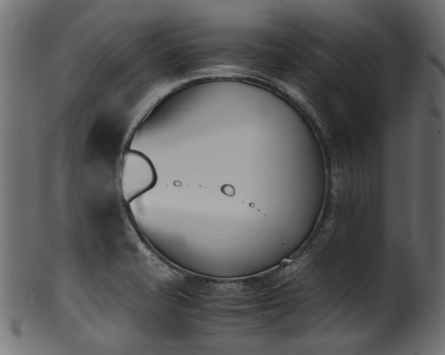 X0000102031421200807181339