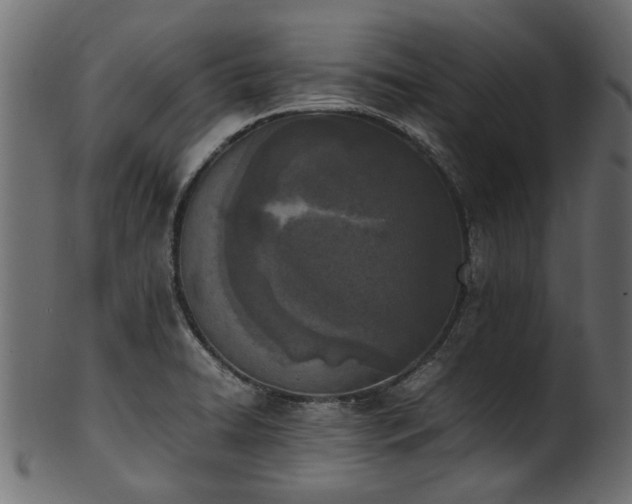 X0000102031422200807181339