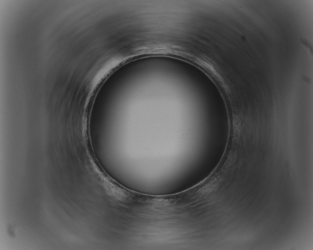 X0000102031424200807181339